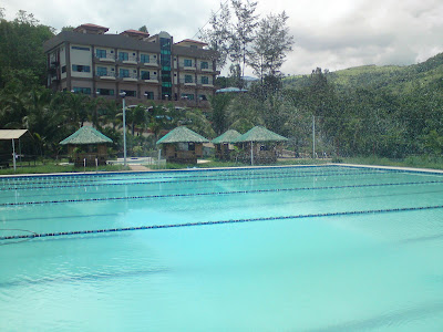 The Swimming Pool 