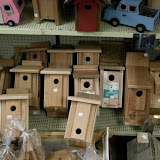 Wide selection of bird houses