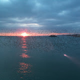 IMG_0262.JPG