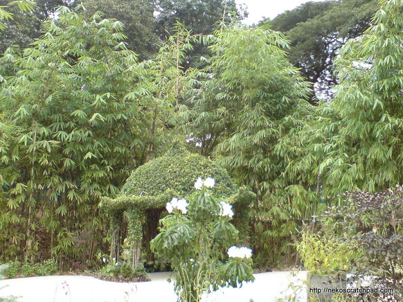 Bamboo Labyrinth