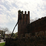 DSC08344.JPG