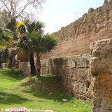DSC08346.JPG