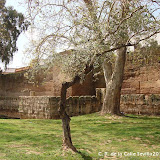 DSC08349.JPG