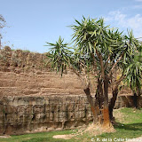 DSC08350.JPG