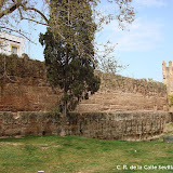 DSC08352.JPG