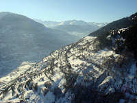 DSC07870.JPG Photo