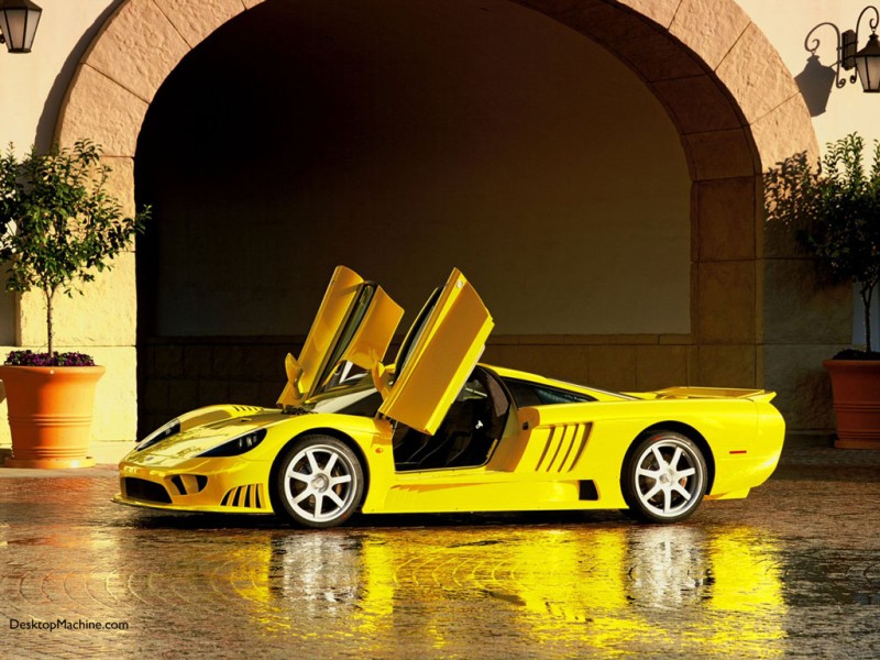 saleen1