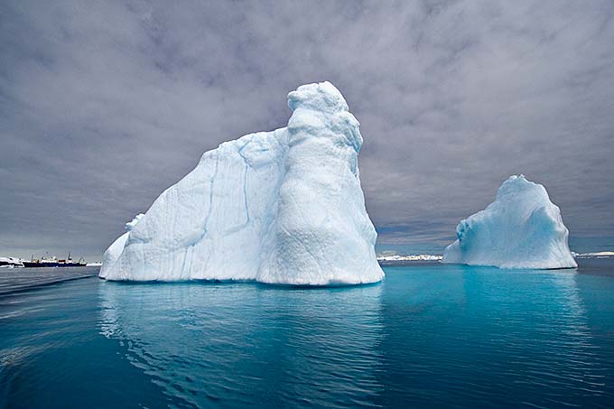 Antarctic 103 The Underwater World of Antarctica