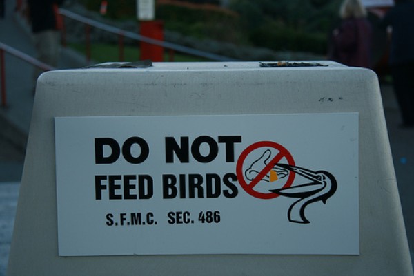 funny sign
