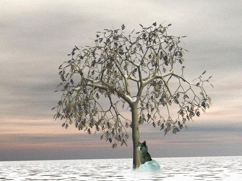 [a-winter_oak4[2].jpg]