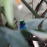 IMG_8218.jpg