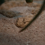IMG_8494.jpg