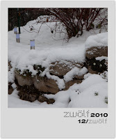 12-zwoelf2010-polaroid.jpg