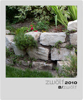 8-zwoelf2010-polaroid.jpg
