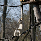 IMG_8881.jpg