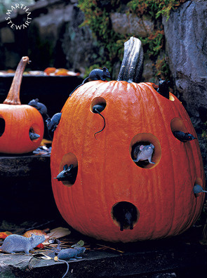 [halloween pumpkin with rats martha stewart[6].png]