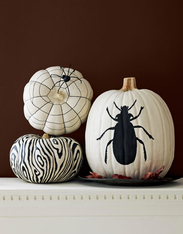 [halloween painted pumpkins black white insects[5].png]