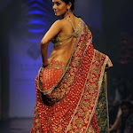 amrita-rao-in-hot-sari-and-walk-on-ramp-002.jpg