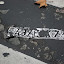 DSC_2876.jpg