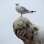 DSC_3186.jpg DSC_3186.jpg