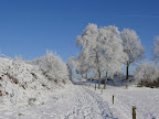 Winter in Barlo