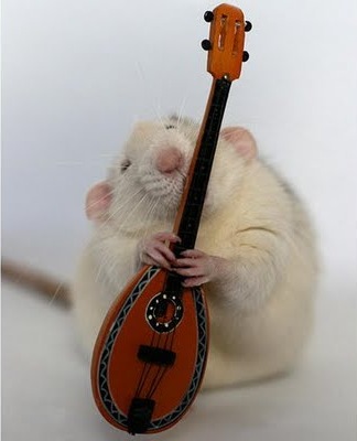 [awesome and cool musical mouse11[5].jpg]