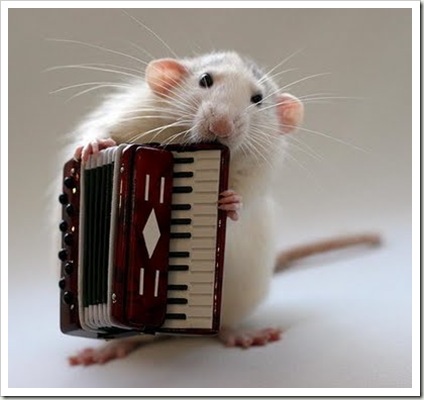 awesome and cool musical mouse7
