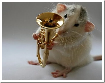 awesome and cool musical mouse8