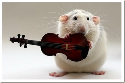 awesome and cool musical mouse10