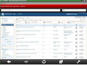 blogging menggunakan opera min.JPG