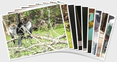 View album View album