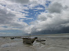 Zanzibar Storm