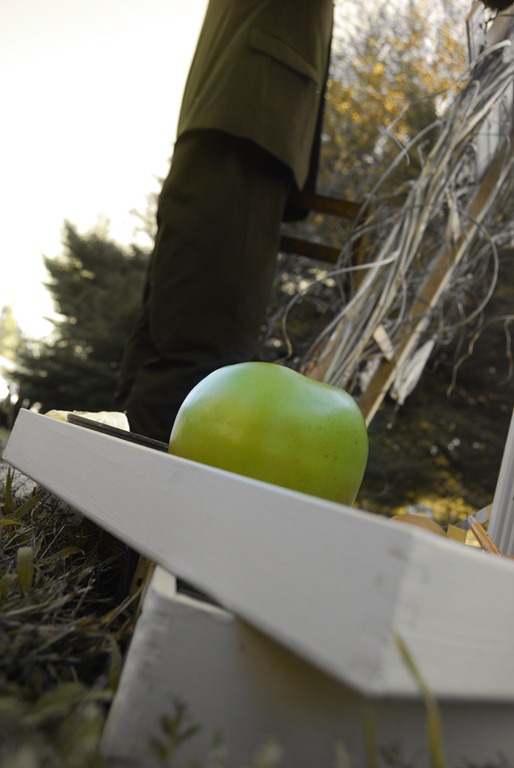 [apple-hue.jpg]