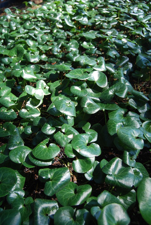 [Plant-Group-_313open-house.jpg]