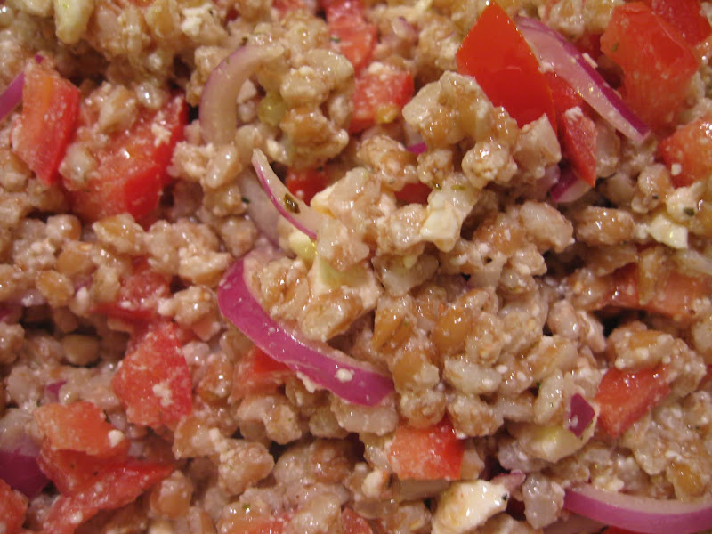 Closesup of farro with feta, tomato, and red onion