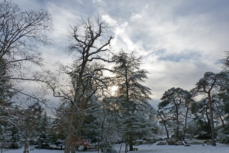 Forêt de FONTAINEBLEAU Franchard