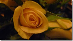 L1020453 L1020453