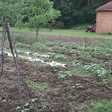 GardenAnnex6-2010