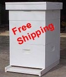 [beehive3.jpg]