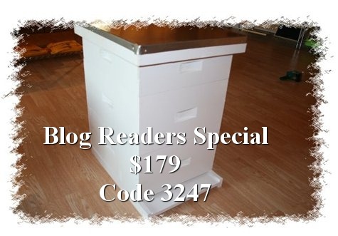[blogspecial6.jpg]