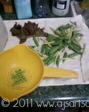 [Peas Bean and Lettuce[13].jpg]