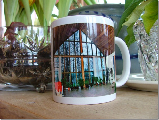 Fuji_mug