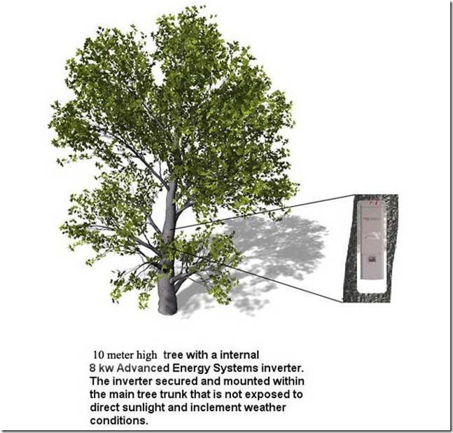 tree2009-01-03-12-29-38.395
