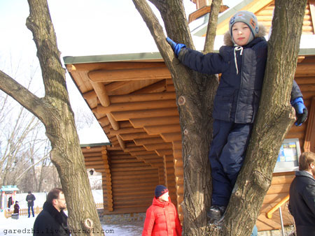 Масленица в Киеве. Дети лазят по деревьям.