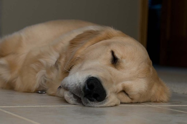 [DSC_1447[6].jpg]