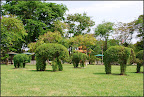Křovinatí sloni / Lumphini park, BKK
