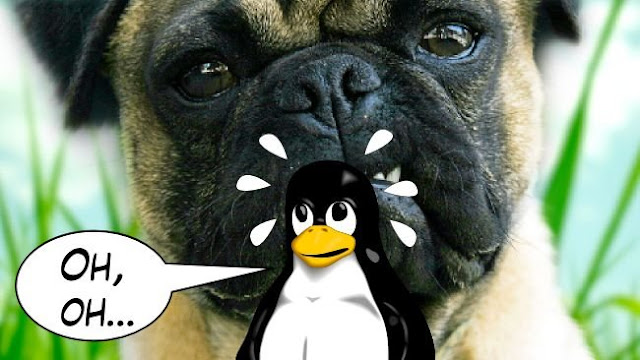 damn-vulnerable-linux.jpg