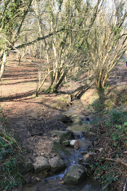 Stream