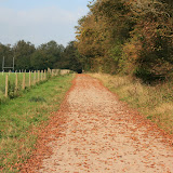 An Autumn Walk (5)