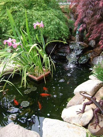[Open Gardens October 2010 018[3].jpg]